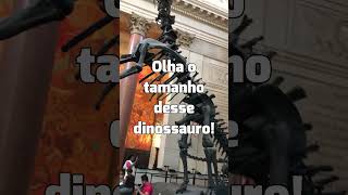 ENTRADA DO MUSEU DE HISTÓRIA NATURAL (NY) #museumofnaturalhistory #dinosaur #entrance