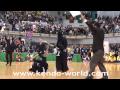 13th wkc semi finals us vs. japan taisho hd