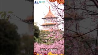 新北市長侯友宜最強諧音梗｜走春景點一次看 #新北市 #走春