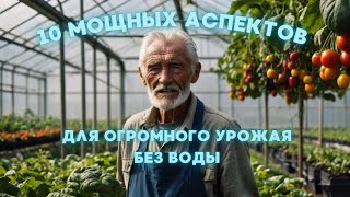 😳ИСПОЛЬЗУЙ ЭТО И ПОЛУЧАЙ ОГРОМНЫЙ УРОЖАЙ ЛЮБЫХ КУЛЬТУР