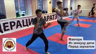 Удар мае гери. Упражнения из карате wkf.