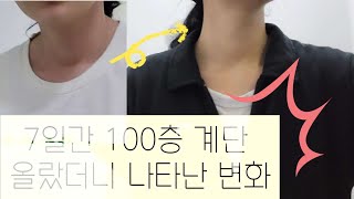 💪 7일간 100층 계단 올랐더니 나타난 변화