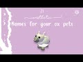 21 Aesthetic Names for your ox pets!★ | itzYellowRoses