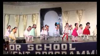 YPS Patiala Junior School-2013