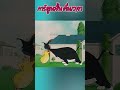 สารเติมแต่งขั้นเทพ 3danimation cartoon viralvideo animation 3danimationvideo anime