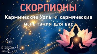 СКОРПИОНЫ. КАРМИЧЕСКИЕ УЗЛЫ И КАРМИЧЕСКИЕ ИСПЫТАНИЯ ДЛЯ ВАС.