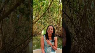 Varkala Mangrove boating🛶 #paravoor #lake #trending #youtubeshorts #adventure #kayak #kerala #life