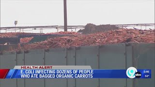 E. Coli infecting dozens of people who ate bagged carrots