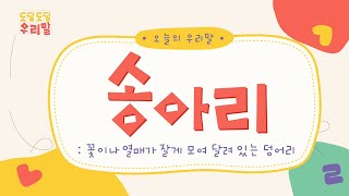 도담도담 우리말 | 아름다운 순우리말 | 송아리 | 교육방송 | 플레이런