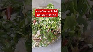 แกงผักหวานใส่ไข่มดแดง+ปลาย่าง แซ่บมากๆ