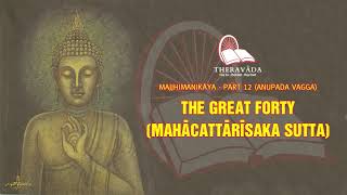 7. With Moggallāna The Accountant (Gaṇakamoggallāna Sutta) | Majjhimanikāya -Part 12 (ANUPADA VAGGA)