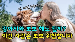 강아지가 뽀뽀 하는 이유 4가지와 위험성에 대해서 알아볼게요 [강아지가 핥는 이유]