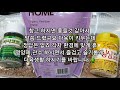 다육이 건강하고 예쁜색감 멋진수형으로 키우고 싶다면 꼭 보세요 succulents companion plants nutritional utility