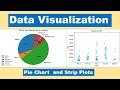 Data Visualization by Python || Pie chart and Strip plots