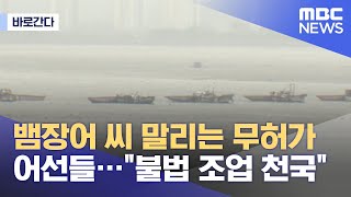 [바로간다] 뱀장어 씨 말리는 무허가 어선들…\