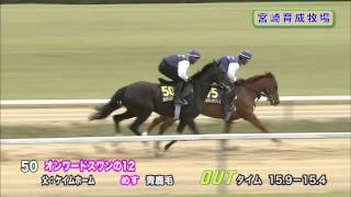 【2014育成馬展示会　調教映像】№50 オンワードスワンの12