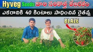 #Hyveg Seeds వారి సరికొత్త తేజరకం #Blaze | #ఎకరానికి40 క్వింటాలు సాధించిన #రైతన్న | Vs Rythu Nestham