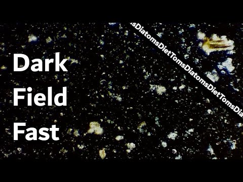 Why would you use dark field microscope?