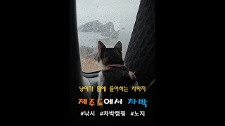 [4K] 남해안 일주여행 - 제주도1 ㅣ 낚시와 캠핑을 할 수 있는 노지 차박지는? ㅣ 고양이도 맘에 쏙 들어 하는 그곳