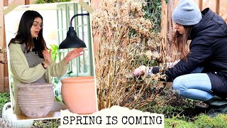 Garden Cleanup, Buying Trees \u0026 New Pots 🌼 Spring Is Coming!