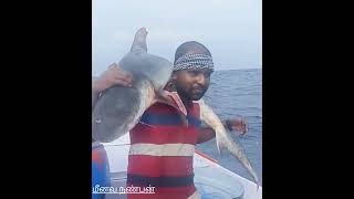 மீனவ நண்பன் பிடித்த சுறா மீன் 🦈🦈🦈🦈