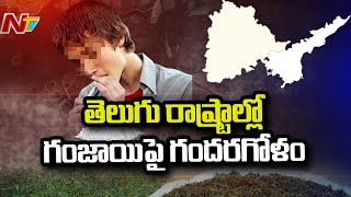 తెలుగు రాష్ట్రాల్లో హాట్ టాపిక్ గా మారిన గంజాయి రవాణా....తెలంగాణ ప్రభుత్వం కీలక నిర్ణయం l NTV