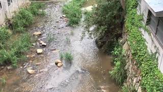 小森温泉の川です