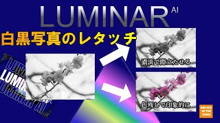 LUMINAR AI ＆NEO 共通　初心者でもわかる（ルミナーAiの使い方）白黒写真を映えさせるテクニック　白黒写真を色の濃淡で考える　その２色残しの写真を作ろう！