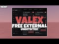 [NEW!] Best Free Roblox External! | Valex | The Best Undetected External Byfron Bypass 2025