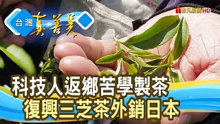 天然野放的“三芝茶”｜三芝茶-小粟手作｜【台灣真善美】2023.08.27