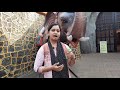 शिव समर्थ गड डेरवण शिव सृष्टी डेरवण shiv samarth gad dervan chiplun sawarde kokan vlog