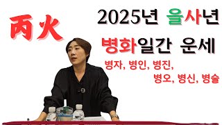 2025년 을사년(乙巳年) 병화(丙火)일간 신년운세.