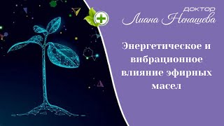 Влияние эфирных масел на энергетику человека, изменение качества жизни