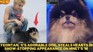 Yeontan, V's adorable dog, steals hearts in show-stopping appearance Mnet's 'M Countdown#bts #kpop