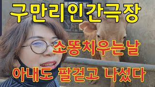 #구만리인간극장 #우사청소 #소똥치우기