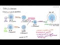 16-1 Intro to Inheritance: Sexual Reproduction (Cambridge AS A Level Biology, 9700)