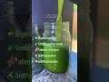 easy green juice recipe to cleanse your body u0026 heal within shorts