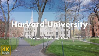 Harvard University - Virtual Walking Tour [4k 60fps]
