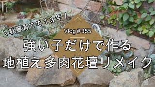 【Vlog355】【多肉植物】秋麗育てて13年💖強い子だけで作る地植え多肉花壇リメイク【ロックガーデン風】