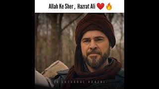 hazrat ali allah ke sher| call of ertugrul gazi in hindi| ertugrul golden words for ali e haidar