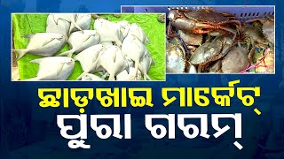 🔴 Live | ଛାଡ଼ଖାଇ ମାର୍କେଟ୍ ପୁରା ଗରମ୍ ? Chadakhai | Nonveg Market | Crowd | Odia News | OTV