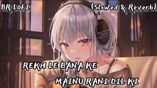 Dunali (Slowed + Reverb) | Rakh Le Banake Menu Rani Dil Di #brlofi