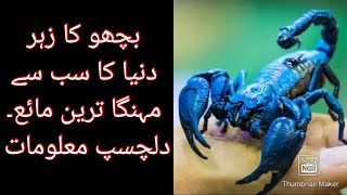 دنیا کا سب سے مہنگا ترین مائع: بچھو کا زہر.    The World's Most Expensive Liquid: Scorpion Venom