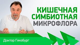 Кишечная симбиотная микрофлора. Хорошая и плохая.