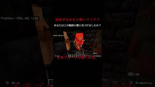 【マイクラ意味怖解説】ピグリンブルート　#マイクラ #怖すぎる #minecraft