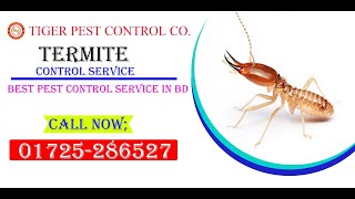 Termite Control Service BD। Termite Control Dhaka । উইপোকা দমন। উইপোকা তাড়ানোর উপায়। Termite Video