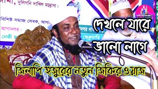 দেখলে যারে ভালো লাগে নইলে পারে জালা 🥵 সাদিরুল ইসলাম জিহাদীর জিকির ওয়াজ । জিলাপি হুজুর