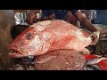 Incredible Red Snapper Fish cutting By Expert Fish Cutter Fish Cutting Skills BD Fish Market