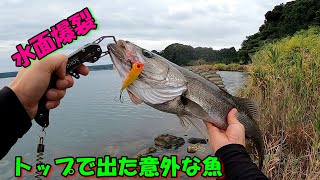 【2024年能登トップチニング＃02】水面爆裂！飛び出してきた意外な魚！トップウォーターでチヌで狙う！クロダイトップ、チニング、トップチヌ、シーバス、黒鯛、釣り、能登、七尾湾、富山