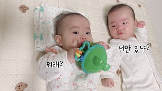 남의떡이 더 커보이는 둥이일상 브이로그👶🏻👶🏻